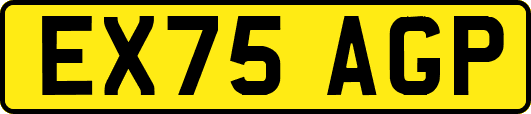 EX75AGP