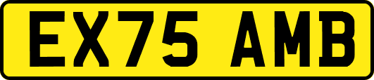 EX75AMB