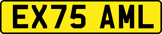 EX75AML
