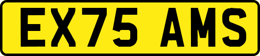 EX75AMS