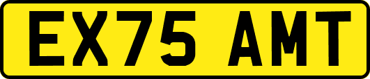EX75AMT