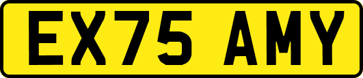 EX75AMY