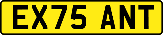 EX75ANT