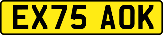 EX75AOK
