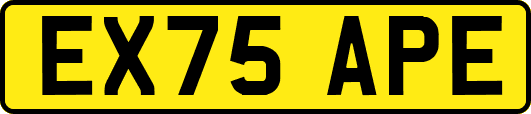 EX75APE