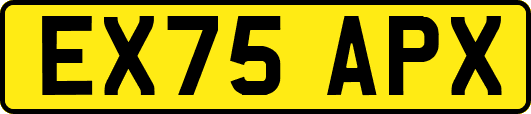 EX75APX