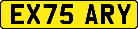 EX75ARY