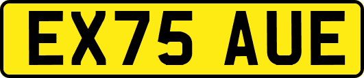 EX75AUE