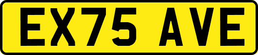 EX75AVE