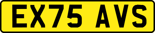 EX75AVS
