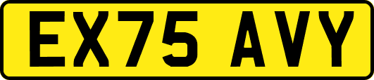EX75AVY