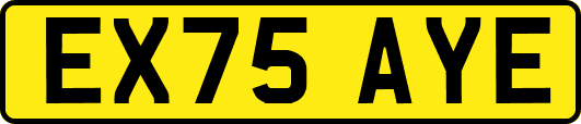 EX75AYE