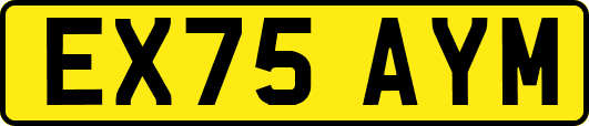 EX75AYM