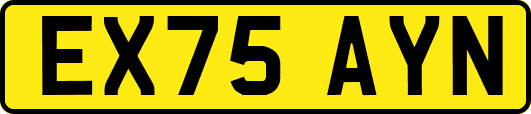 EX75AYN