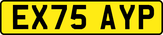 EX75AYP