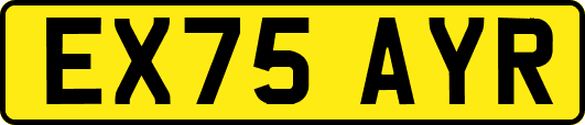 EX75AYR