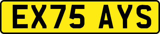 EX75AYS