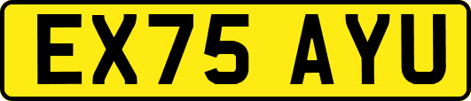 EX75AYU