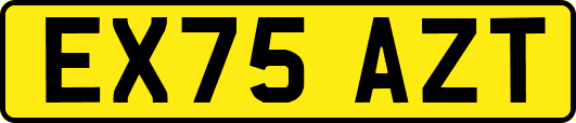 EX75AZT