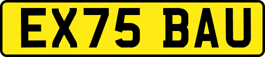 EX75BAU