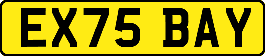EX75BAY