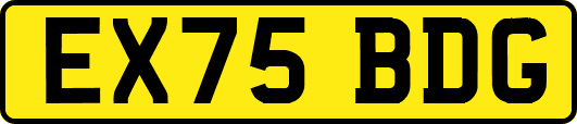EX75BDG