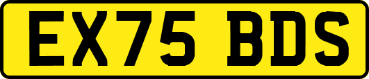 EX75BDS