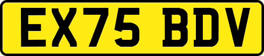 EX75BDV