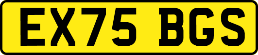 EX75BGS