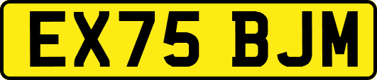 EX75BJM