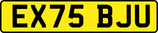 EX75BJU