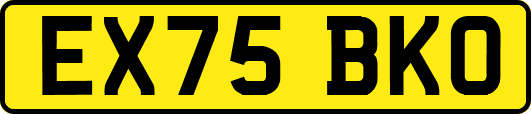 EX75BKO