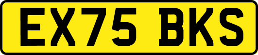 EX75BKS