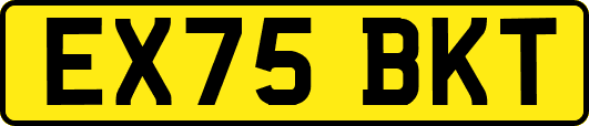 EX75BKT