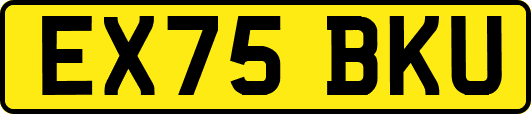 EX75BKU