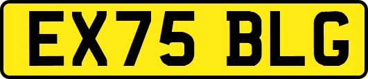 EX75BLG
