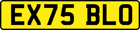 EX75BLO