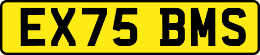 EX75BMS