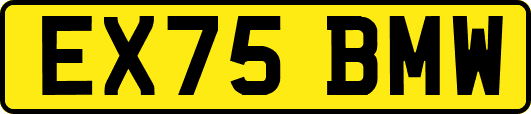EX75BMW