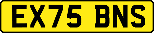 EX75BNS