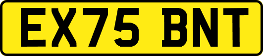 EX75BNT