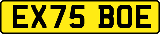 EX75BOE