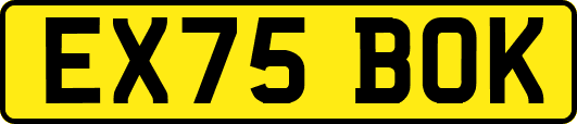 EX75BOK