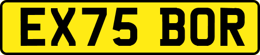EX75BOR