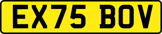EX75BOV