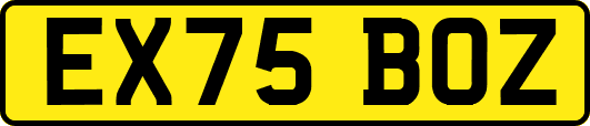 EX75BOZ