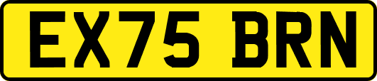 EX75BRN