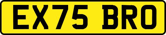 EX75BRO