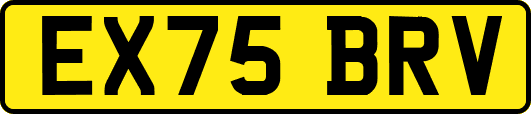 EX75BRV