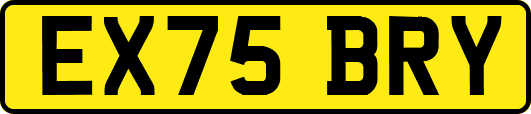 EX75BRY